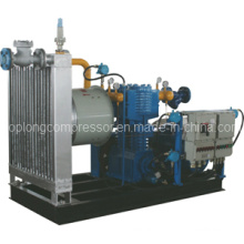 CNG Compressor LPG Compressor LNG Compressor Nitrogen Compressor (Zw-0.4/ 2-250)